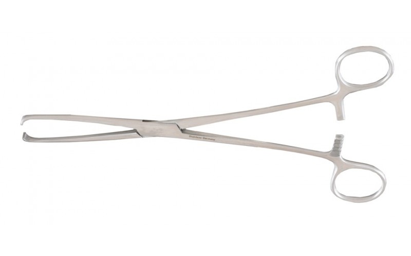 16-38 THOMS-ALLIS Tissue Forceps, 8" (20.3 cm), 6 X 7 teeth.