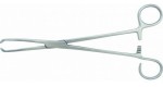 22-556 COLVER Tonsil Seizing Forceps, 7-1/2" (19.1 cm) one open ring, straight.