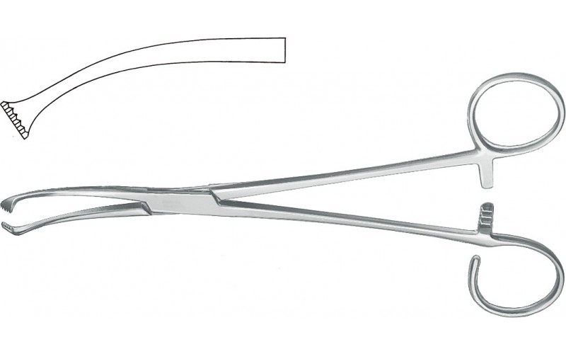 22-558 COLVER Tonsil Seizing Forceps, 7-1/2" (19.1 cm), one open ring, curved.