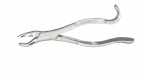 DEF10H  10H Extracting Forceps, Upper Molars. 