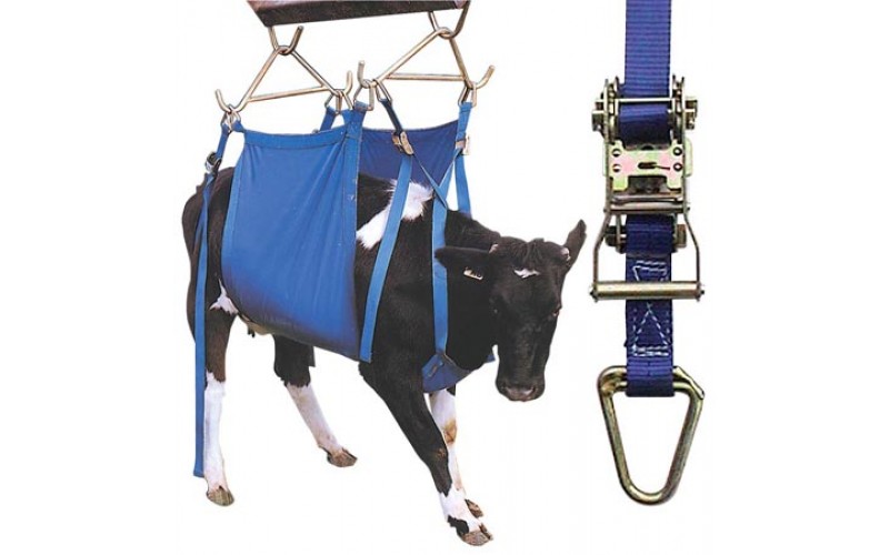 VI-823904 XL Daisy Heavy Duty Cow Lifter